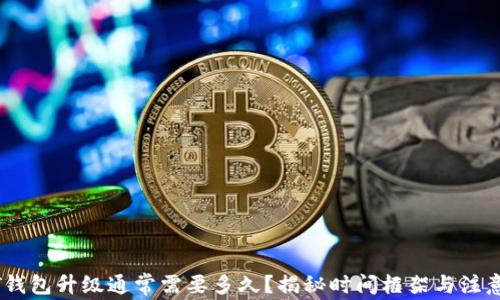 
USDT钱包升级通常需要多久？揭秘时间框架与注意事项