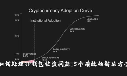 如何处理TP钱包被盗问题：5个有效的解决方案