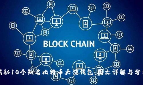 揭秘10个知名比特币大佬钱包：图文详解与分析