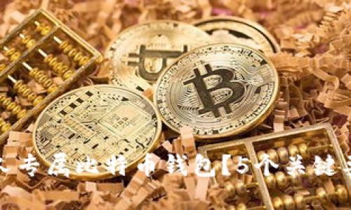 如何选择最适合你的私人专属比特币钱包？5个关键要素确保安全性与易用性