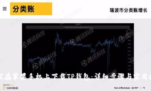 如何在苹果手机上下载TP钱包：详细步骤与实用技巧
