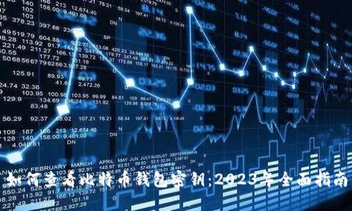 如何查看比特币钱包密钥：2023年全面指南