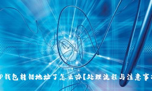 TP钱包转错地址了怎么办？处理流程与注意事项