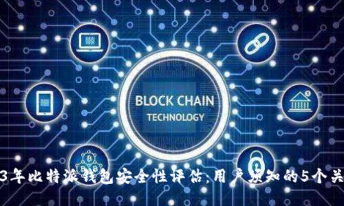 2023年比特派钱包安全性评估：用户须知的5个关键点