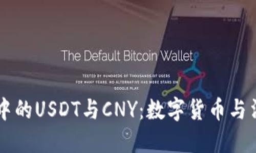 深入解读云钱包中的USDT与CNY：数字货币与法币的区别与联系