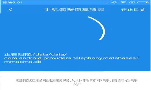 如何查看以太坊钱包公钥：完整指南与步骤