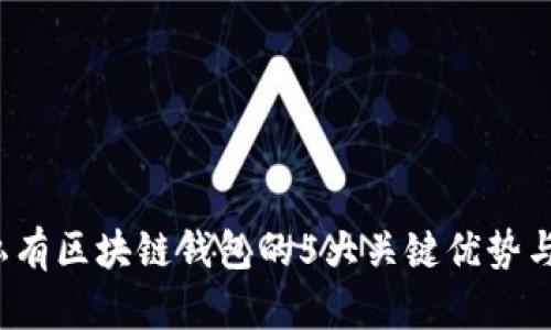 2023年私有区块链钱包的5大关键优势与使用指南