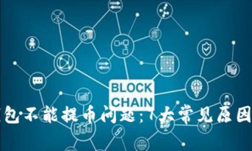 解决比特购钱包不能提币问题：7大常见原因及其解决方案
