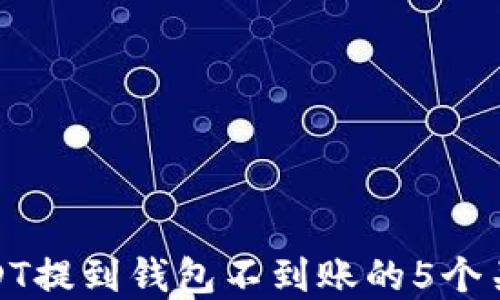 
解决USDT提到钱包不到账的5个关键步骤