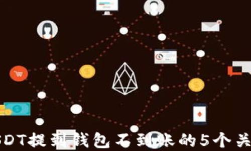 
解决USDT提到钱包不到账的5个关键步骤