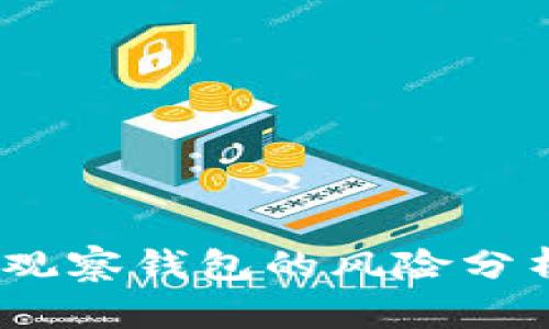深入探讨：TP钱包观察钱包的风险分析与安全防护措施