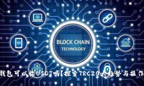 TRX钱包可以收USDT吗？探索TRC20大趋势与操作指南