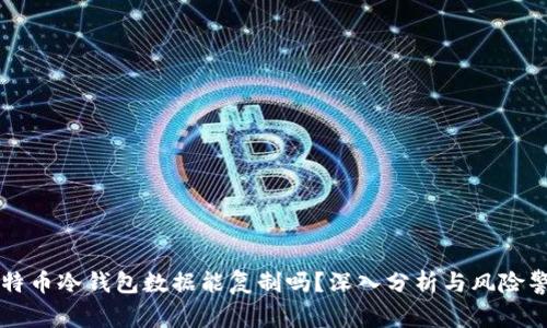 比特币冷钱包数据能复制吗？深入分析与风险警示