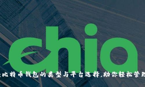 深度解析：比特币钱包的类型与平台选择，助你轻松管理加密资产