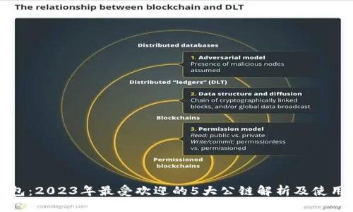 TP钱包：2023年最受欢迎的5大公链解析及使用指南