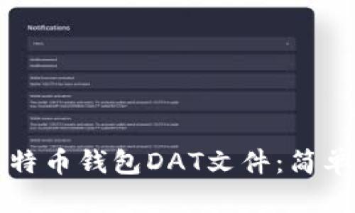 如何打开比特币钱包DAT文件：简单实用的指南
