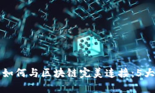 普拉斯钱包如何与区块链完美连接：5大关键点解析
