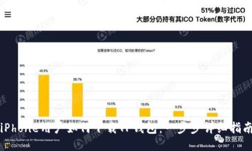 iPhone用户如何下载TP钱包：一步步详细指南