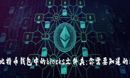 深入解析比特币钱包中的blocks文件夹：你需要知道的5个关键点