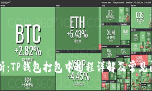 深度解析：TP钱包打包中过程详解及常见问题解决