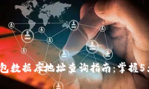 2023年以太坊钱包数据库地址查询指南：掌握5大关键步骤和技巧