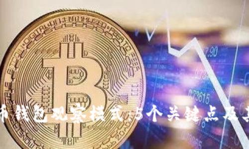 揭秘比特币钱包观察模式：5个关键点及其应用分析