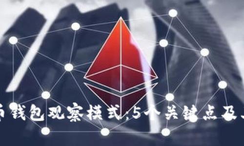 揭秘比特币钱包观察模式：5个关键点及其应用分析
